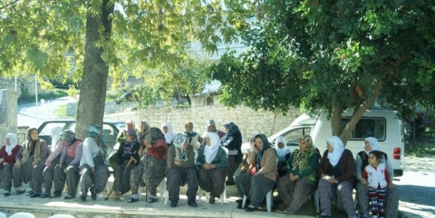 Mezitli Belediyesi Kırsal Kalkınmayı Destekliyor