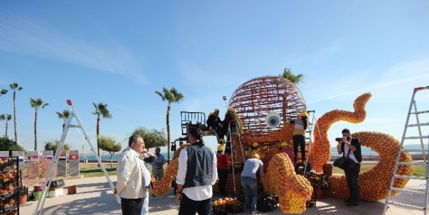 Narenciye Festivaline Doğru