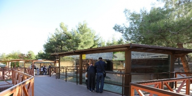 Hayvanat Bahçesinde Kış Hazırlıkları Tamamlandı