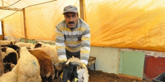 Aliağa İlçe Jandarma Komutanlığı’ndan Afişli Uyarı