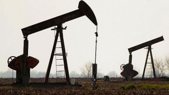 O ilimizden petrol fışkırıyor!