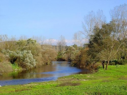 Büyükşehir'den "Yeşil Bursa" için büyük adım