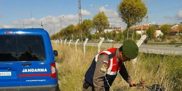 Jandarma Sazlar Arasında Motosiklet Buldu