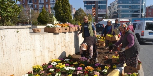 Çerkezköy Çiçek Açıyor