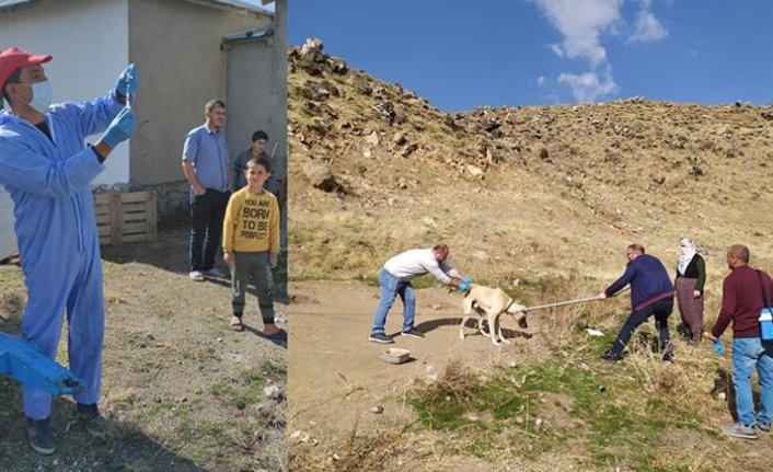 Kuduz köpek tarafından ısırılan çocuktan acı haber!