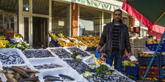 Taze Balıklar Tezgahlardaki Yerini Aldı