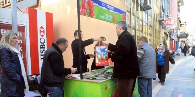 Kocaeli’de Lale Satışları Başlıyor