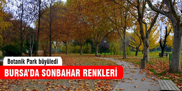 Bursa'dan sonbahar manzaraları
