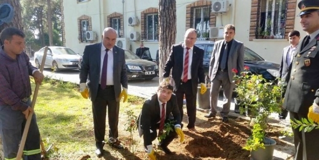 Çam Kokulu Karaisalı Artık Gül Kokacak