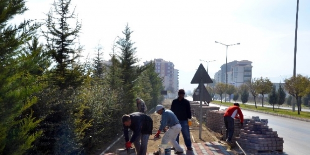 Ereğli’de Yürüyüş Yolu Çalişmasi Başlatıldı