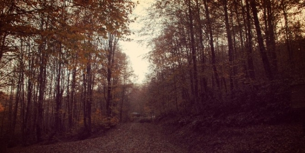 Zonguldak’ta Sonbahar