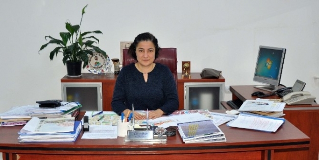 Kdz. Ereğli Belediyesi’nin Bankalarda 7.7 Milyon Tl Parası Var