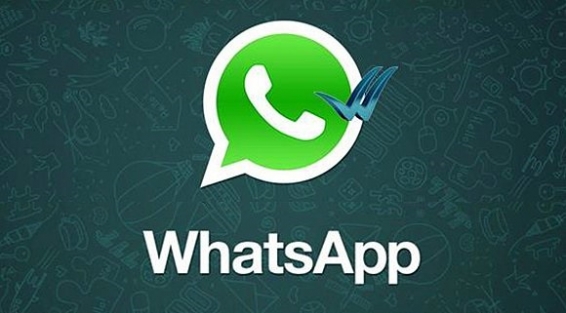 Whatsapp Mavi Tik İşareti'nden 10 adımda kurtulabilirsiniz