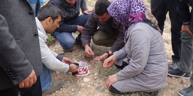 Telefon dolandırıcılarına kanıp altınlarını verdi