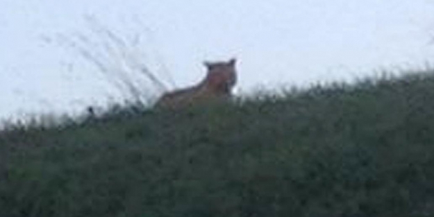 Yetkililer uyardı! Sakın evden çıkmayın