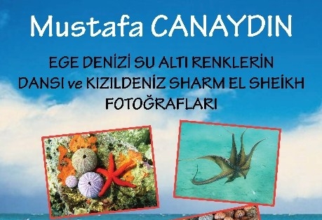 Canaydın’dan, Urla’da “su Altı Renkleri” Sergisi