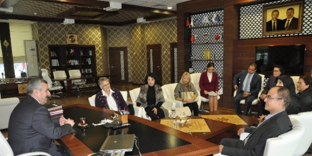 Sokak Hayvanları Daha Güçlü Korunacak