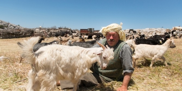 "keçileri Kaçırdık" Belgeselinin Galası Yapılıyor
