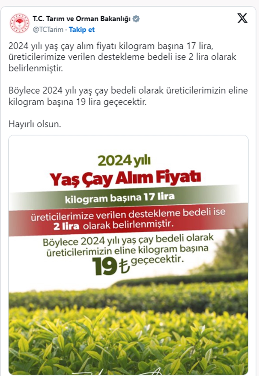 cay-alim-fiyati1.jpg